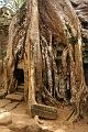 Angkor 16